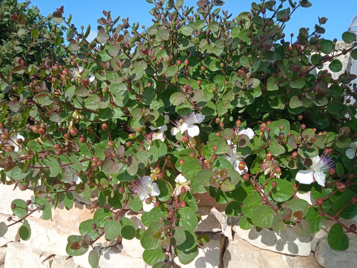 I 5 Sensi Villa Marina di Modica Kültér fotó